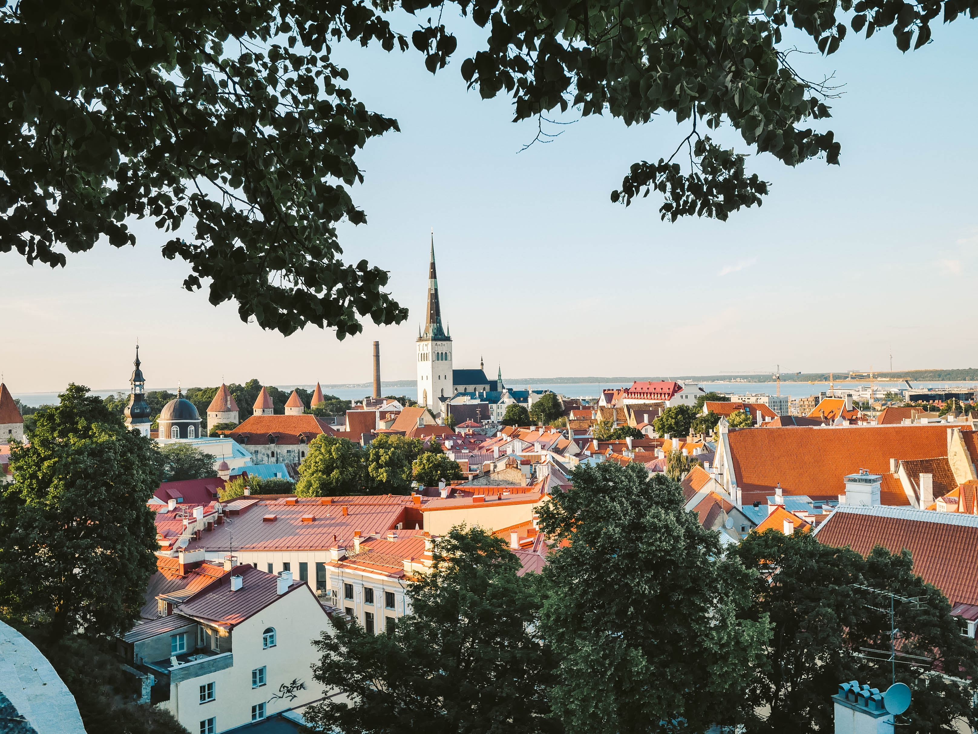 エストニア、観光、移住、タリン、スタートアップ、ビジネス